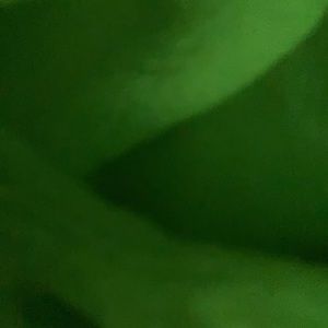 Meet your Posher, Karaline